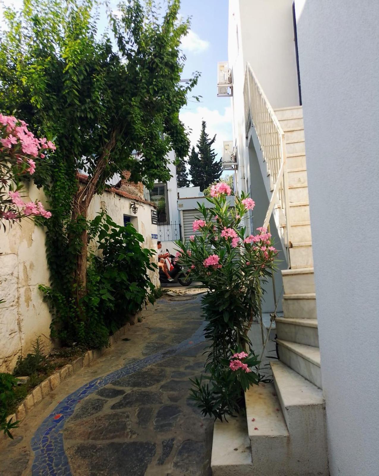 Kardelen Otel Bodrum 외부 사진
